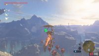 Enjoy the view while gliding from Tabantha Tower.