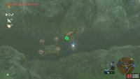 Here’s the first of many platforms floating above Zora River.