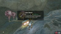 Your reward is a Zora Sword.