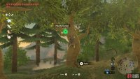 Each tree has up to 2 durians, for a maximum of 10.