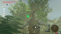 There are many durian trees dotted around, but remember to look out for monsters.
