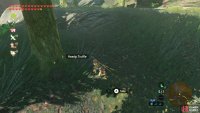 Foraging in the woods can be quite relaxing!
