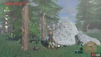 There are many along the road to Zora’s Domain and up on the highlands.