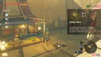 The general store in Gerudo Town.