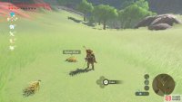 If you’re lucky, you may reap Hylian Rice.