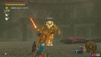A Golden-maned Lynel though? Better be careful…