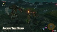 The Flameblade is guarded by foes, but you can trick them with Majora’s Mask.