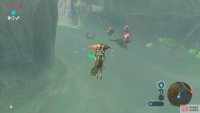 You can reach these platforms by gliding from Dueling Peaks Tower.