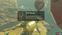 The highest platform has a chest with a Stone Smasher.