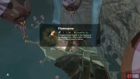 Many of the gear here is fire-based; perfect for roasting foes.