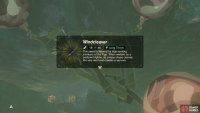 Here’s a Windcleaver without having to deal with the Yiga Clan.