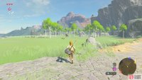 Huh, what’s that over in the distance?