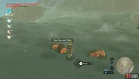 After defeat, they’ll drop 2 items, with a 40% chance of a Raw Gourmet Meat.