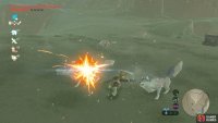 These wolves will try and attack you.