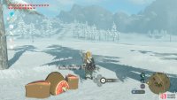 After dying, they’ll drop three items each.