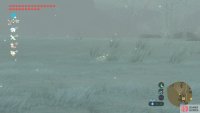 White Pigeons can be annoying to hunt and they are restricted to one item drop.