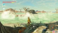 There is a Hinox around, but you’re safe if you don’t make a noise.