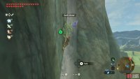 The area around Rito Village has many cliffs, which means many Swift Violets.
