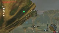 Climb up the tall, mushroom-shaped trees to grab ’em.