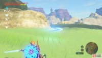 Cut the grass with a sharp weapon or the Master Sword’s beam attack.