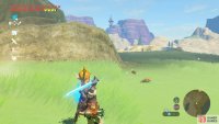 If you’re lucky, Tabantha Wheat may appear.