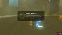Your reward is another 3 Ancient Arrows!