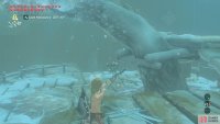 After slaying the Moblin, snipe the remaining Bokoblins.