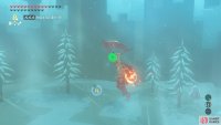 …You can glide up to avoid some of the Lynel’s attacks.