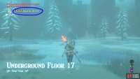 Note that the Attack buff won’t stack with the Cold Resistance buff, so you’ll have to work around it.