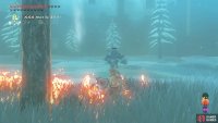 If the tall grass catches on fire (from using the Meteor Rod etc.)…