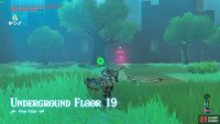 Run towards the Decayed Guardian directly ahead.