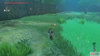 It’s not terribly important, but there’s a buried chest near one of the perimeter walls.