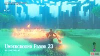 If you’re brave, burn the grass ahead with the Meteor Rod.