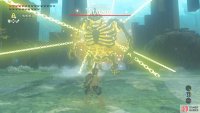 Shoot the Stalnox’s eye or Stasis it, then shoot.