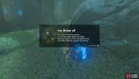 Also, grab the 5 Ice Arrows from the buried chest.