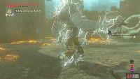 When fighting the Moblin, disarm it with the Thunderblade first.