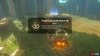 But you’ll always have enough Ironshrooms for a Level 3 Defense buff.