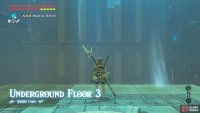 This floor has many Bokoblin archers that shoot dangerous arrows.