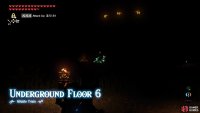 Begin by shooting the Electric Chuchu with an arrow.