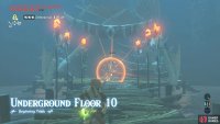 Your aim is to eliminate the Blue Lizalfos in front, before it warns its allies.