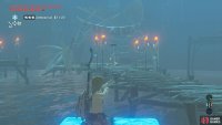 When it’s safe, climb up and shoot arrow(s) at the Blue Lizalfos.
