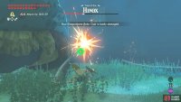 Afterwards, poke its behind, while being mindful of a butt stomp.