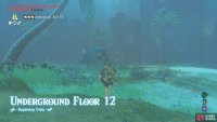 Your objective is to eliminate a Blue Hinox.