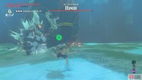 The Hinox will try to clap you with its huge hands!