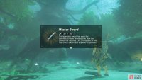On your first completion of the trial, the Master Sword’s power will increase to 40.