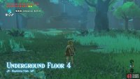 Floor 4 pits you against 7 Bokoblins, including 2 blue ones.