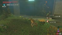 Also, blow up the trees and hope for a Korok Leaf drop.