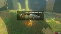 Cook 2 Ironshrooms, 2 Armored Carp and a filler (eg. Apple).
