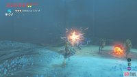 Afterwards, bully the Lizalfos while they’re recovering.
