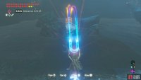 If you’ve got time, use Magnesis to lift up the submerged chest.